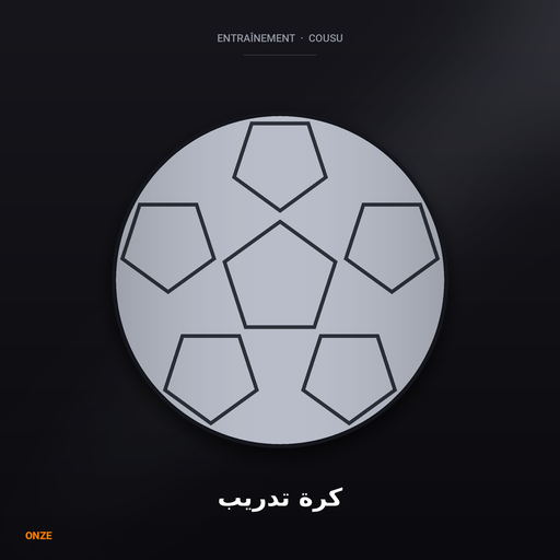 كرة تدريب مقاس 5
