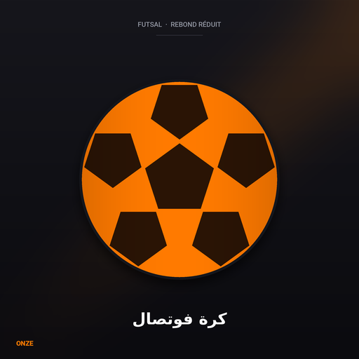 Ballon Futsal T4
