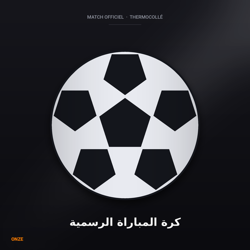 Ballon Match Officiel T5